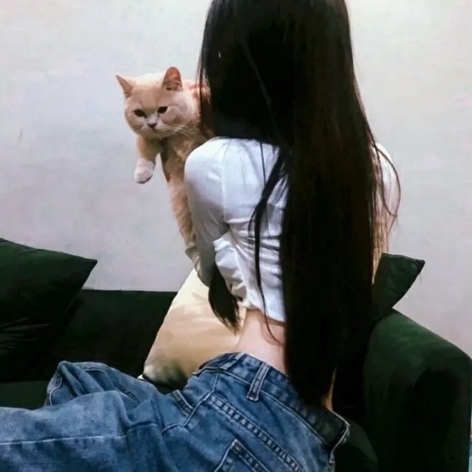 猪就是猪